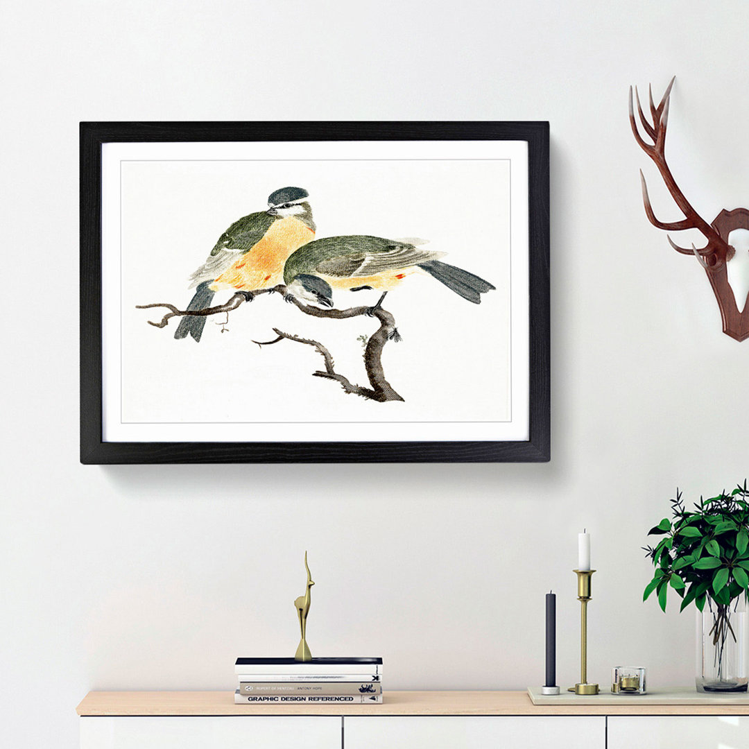 Great Tit Birds by Johan Teyler - Picture Frame Painting Print