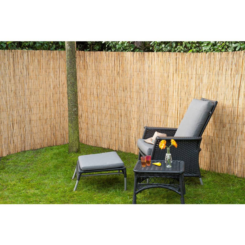 Ludovic Garden Screening (5m x 1m)