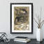 Two Sleeping Ducks by Theo Van Hoytema - Framed Print-62792469-62792472