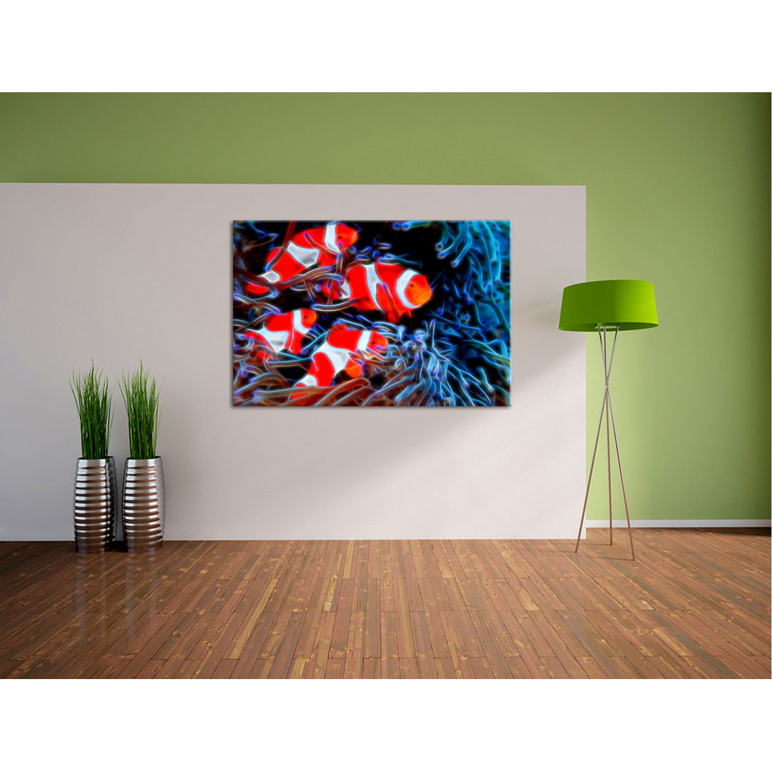 Leinwandbild Clown Fische in Anemone