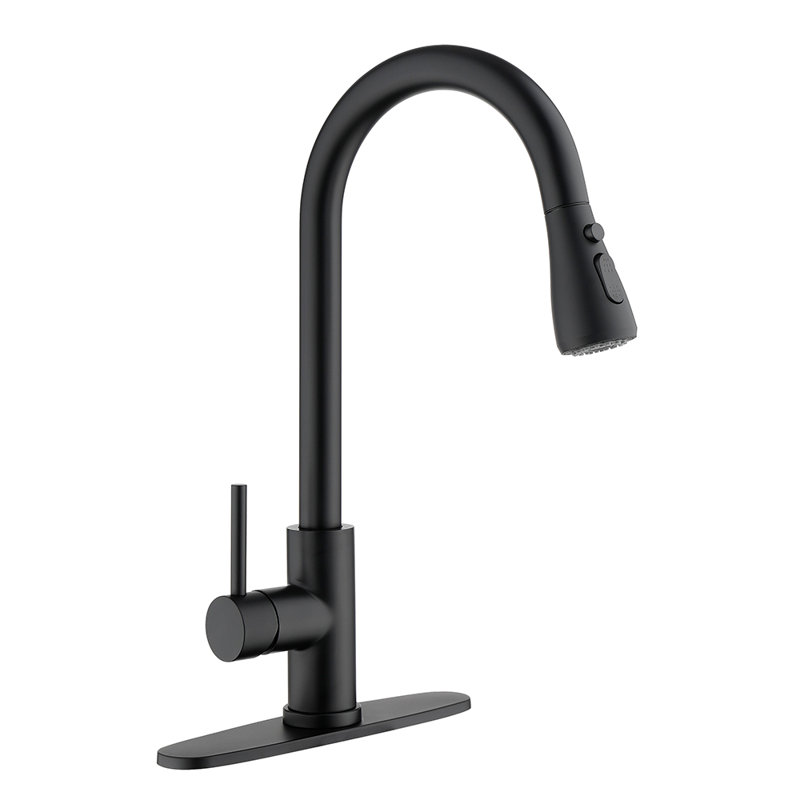 FB WERFY Pull Down Kitchen Faucet, Matt Black