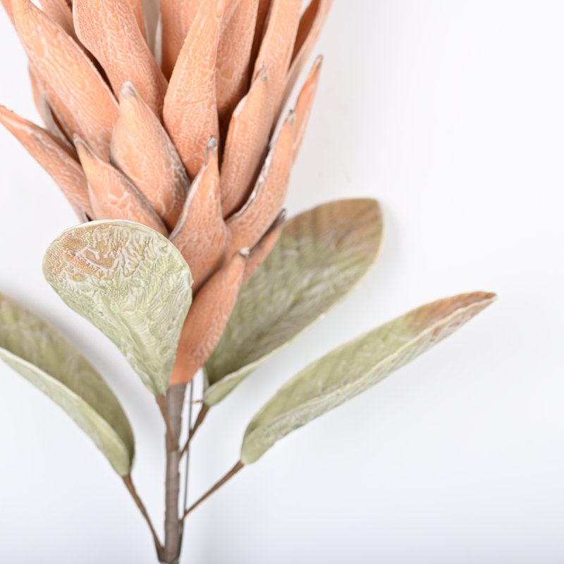 Protea Cynaroides, arrangement floral, longue tige, Orange