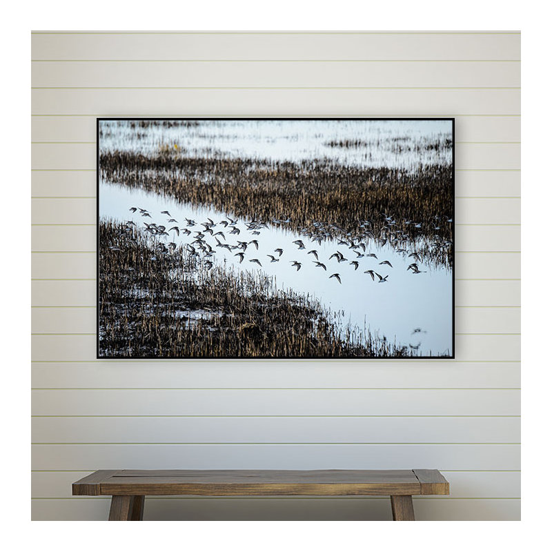 « troupeau », reproduction de photo sur toile, H 11 po x l 14 po x P 2 po