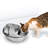 Raindrop Pet Fountain