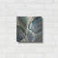 "Greenhouse Leaves" par Silvia Vassileva-1387638807