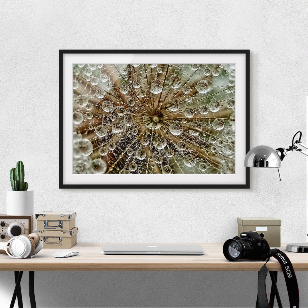 Gerahmtes Poster Dandelion in Autumn