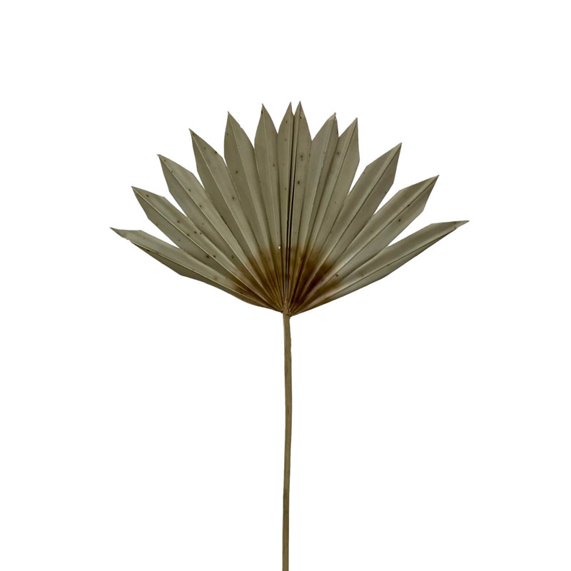 Ecker Arrangement