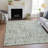 Machine Washable Indoor/Outdoor Bernadette ACN2130 Striped Rug-114000025