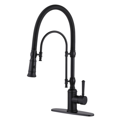 Pull Out Gooseneck High-Arc Kitchen Faucet
