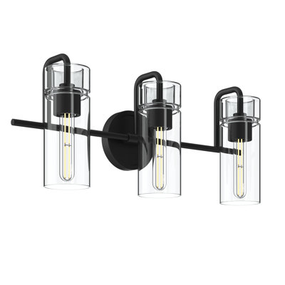 Niccol 24" 3-Light Vanity Light With Clear Glass in Black