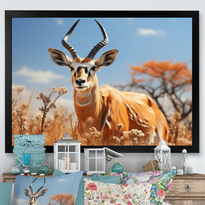 Bekka " Antelope Graceful Wanderer "