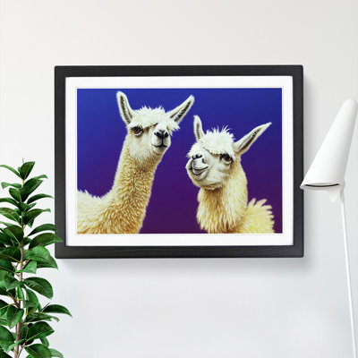 Thrilling Llamas - Single Picture Frame Print