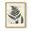 Collection de fougères VI, reproduction encadrée - bois massif-100615523-100615525