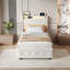 Upholstered Bed-1304044565-1304044563