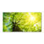 Lisvet 50 cm. W x 100 cm. L Peel and Stick