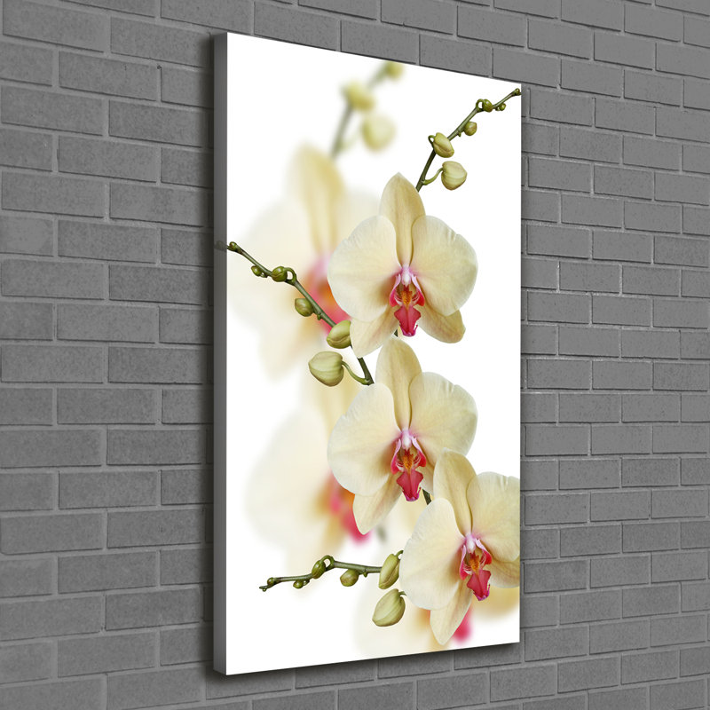 Orchid - Wrapped Canvas Print