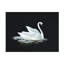 Art mural sur toile  Haley Knighten Night Moves-101101135