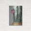 «Flowering Cactus» par House Fenway-1545712475
