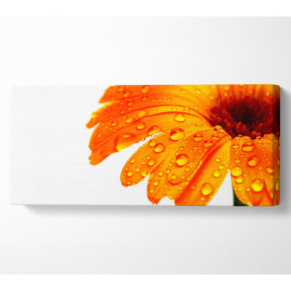 Ebern Designs Stunning Fire Glow Petals - Wrapped Canvas Art Prints ...
