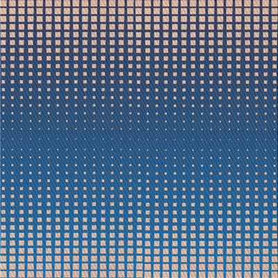 Indoor Rug