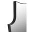 Konstance Free Form Steel Mirror