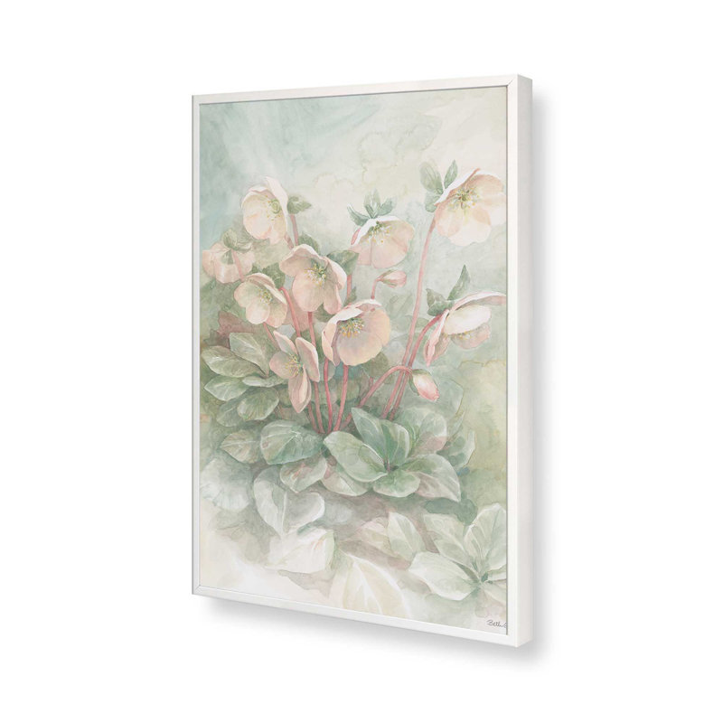 «Hellebores» par Beth Grove, reproduction d'art, H 16 po x l 12 po, Blanc