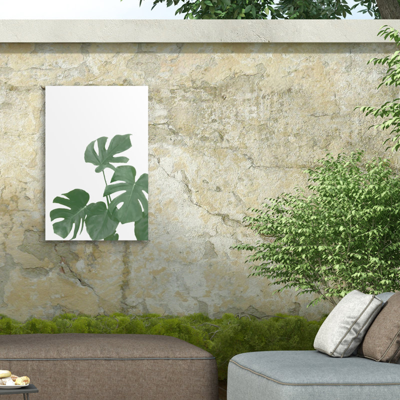 Rouleau de bolognaise, Bolaire, picturale II, Monstera Aqua 04, H 24 po x l 16 po