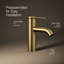 Components Single-Handle Bathroom Sink Faucet-16135380