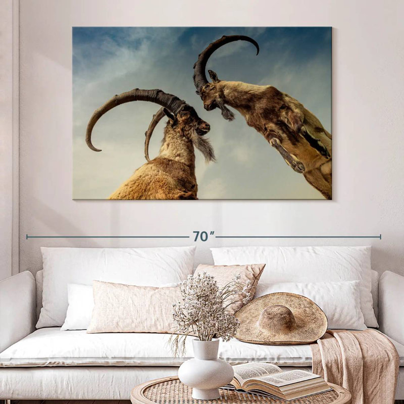 Brampt Goat Clash, 34" H x 51" W