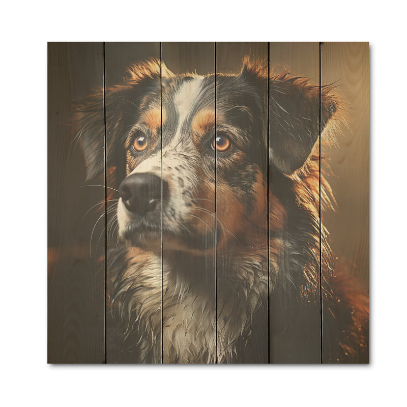 Saint Bernard, sérénité - art mural en bois de chien sur bois de pin naturel, H 30 po x l 30 po