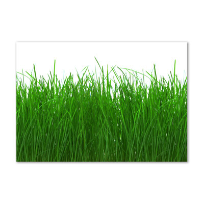 Grass - Wrapped Canvas Print