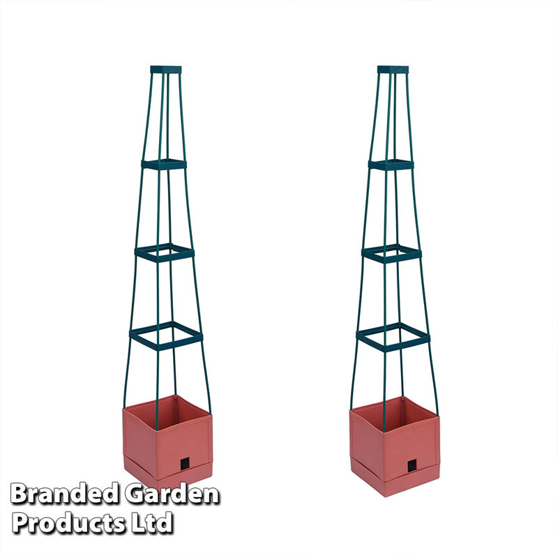 Brookhill Plant Pot Tomato Tower (x5), 2