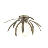 Dahlia 1 - Light Semi Flush Mount