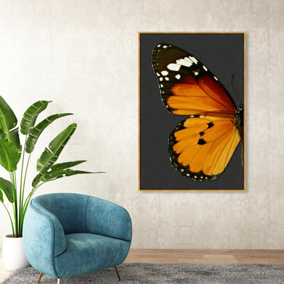" Animals Monarch And Gray Butterfly I, Cabin / Lodge Orange "