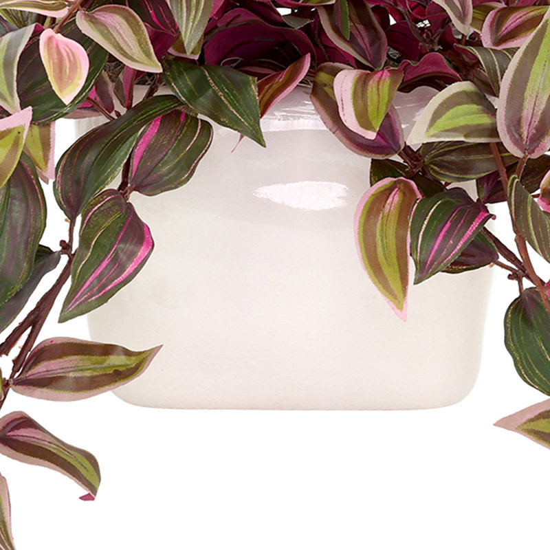 Tradescantia Zebrina Arranged In Ceramic Vase, Green/Red, 14"H x 26"W x 17"D