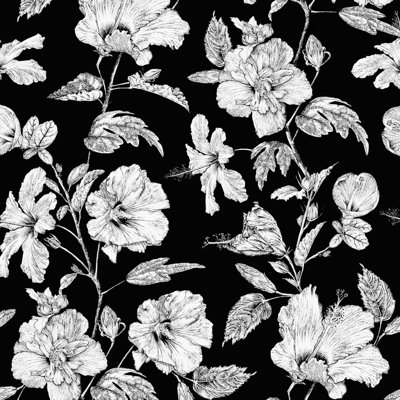 Hibiscus Haiti Flower Wallpaper