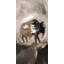 Abstract Buffalo - Reproduction d'art encadrée contemporaine pour le salon