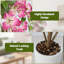 120cm Plant