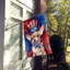 Drapeau patriotique de la maison américaine-112698719