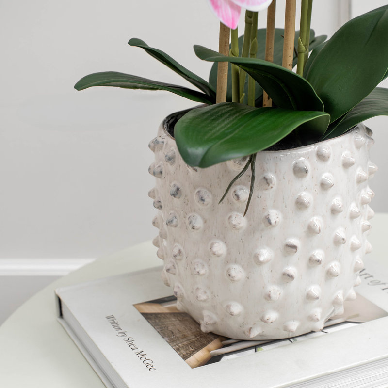 Arrangement
