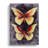 Butterflies In Watercolour No.4 - Wrapped Canvas Print-999788396