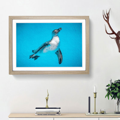 Swimming Penguin - Picture Frame Painting Print
