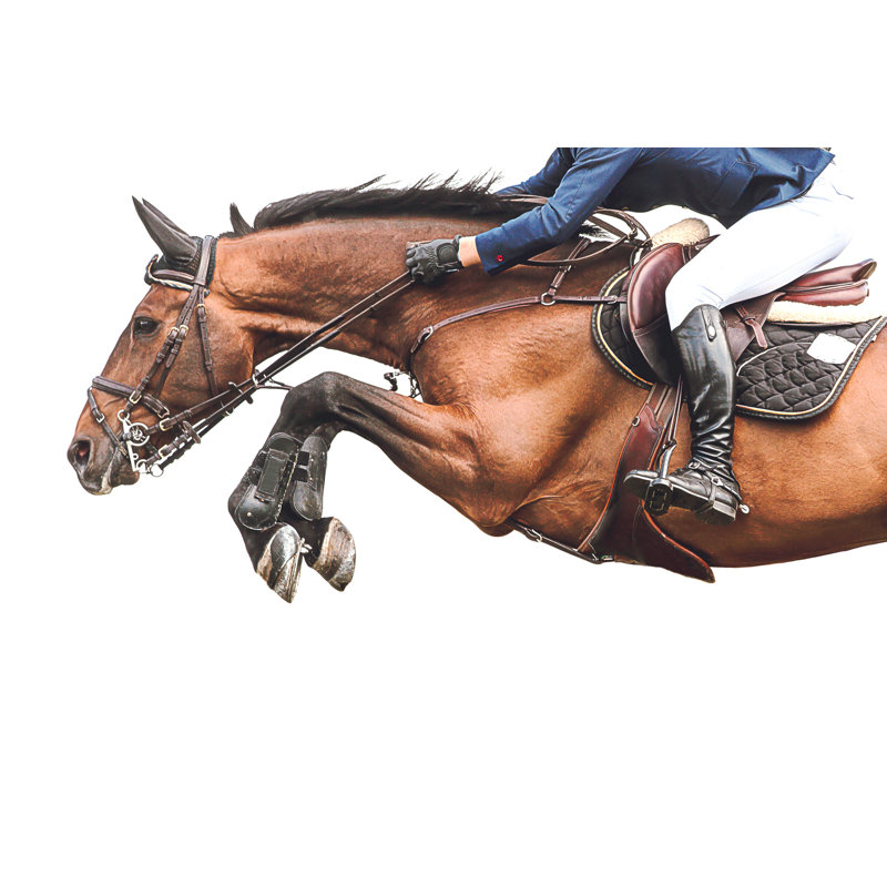 Kerriana Horse Jump - Reproduction de photo sur toile tendue, H 24 po x l 48 po x 1,5 po