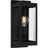 Windley 1-Light Earth Black Outdoor Wall Lantern