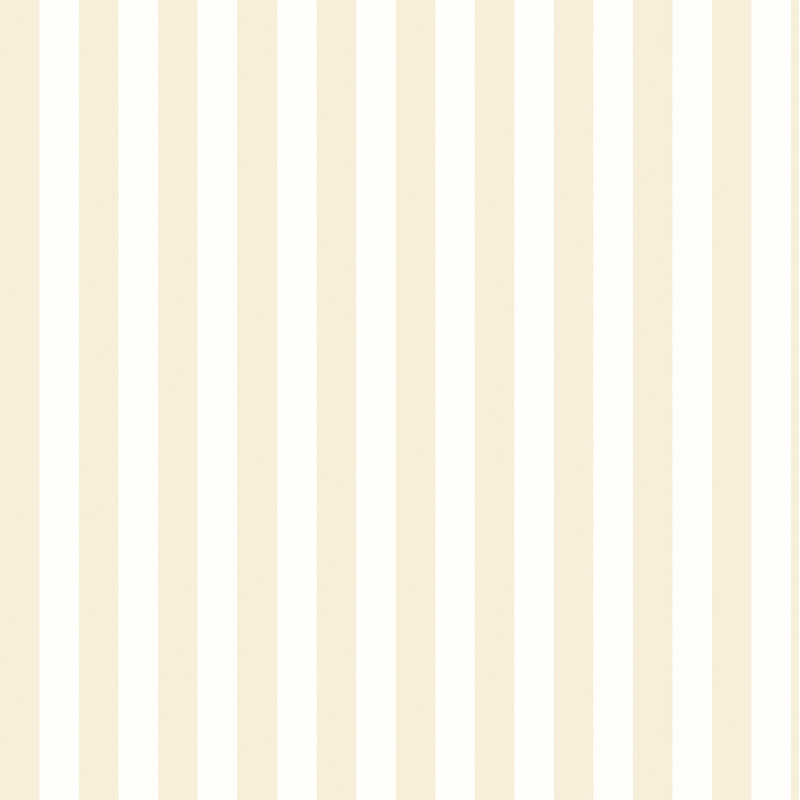 1000cm x 50cm Matte Wallpaper Roll, Beige