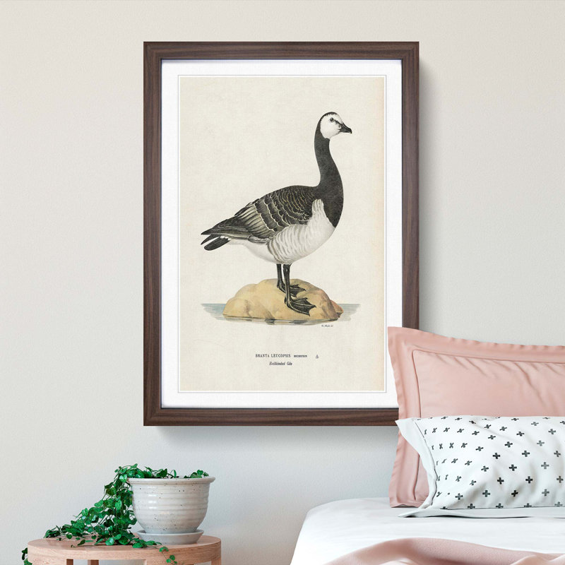 Barnacle Goose by Von Wright - Picture Frame Painting Print, 36cm H x 27cm W x 2cm D, Walnut Framed