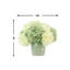 Hydrangea Arrangement in a Ceramic Pot-2085946963