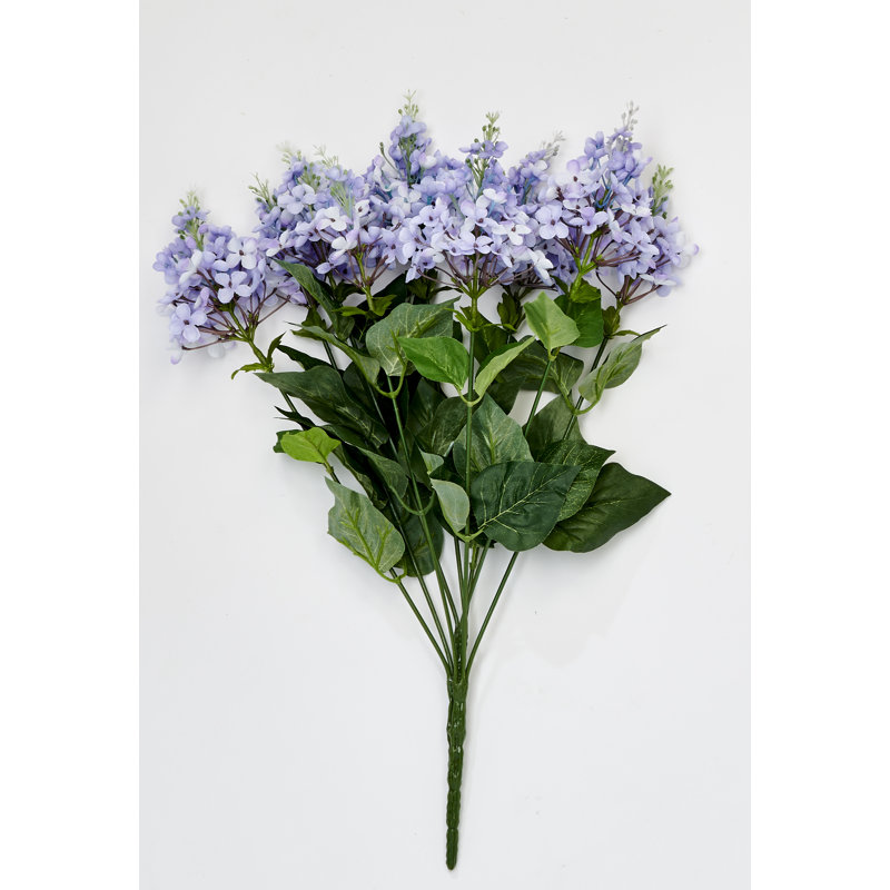 Bush, Lilac