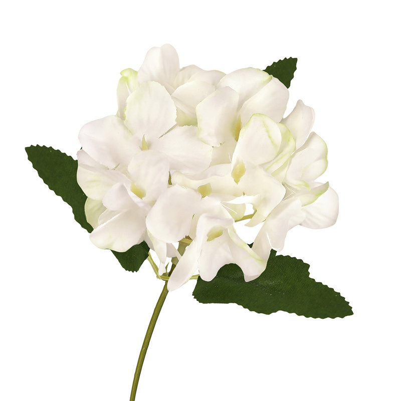 Hydrangea Arrangement, White