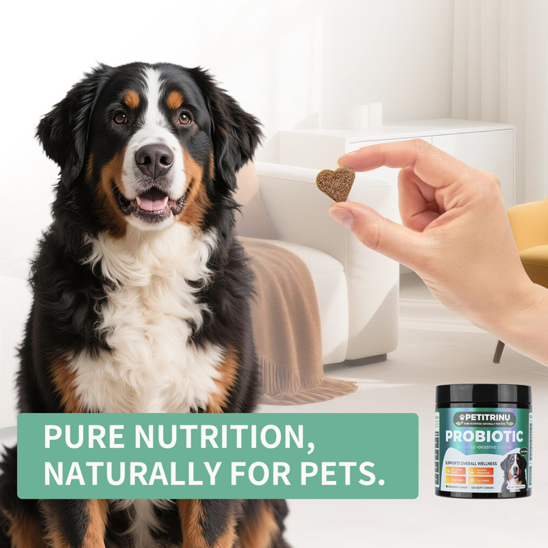 120 Chews Probiotics for Dogs